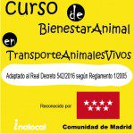 Formación para transportar animales vivos legalmente según Real Decreto 542/2016