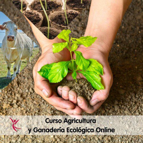 Curso Agricultura y Ganadería Ecológica Online