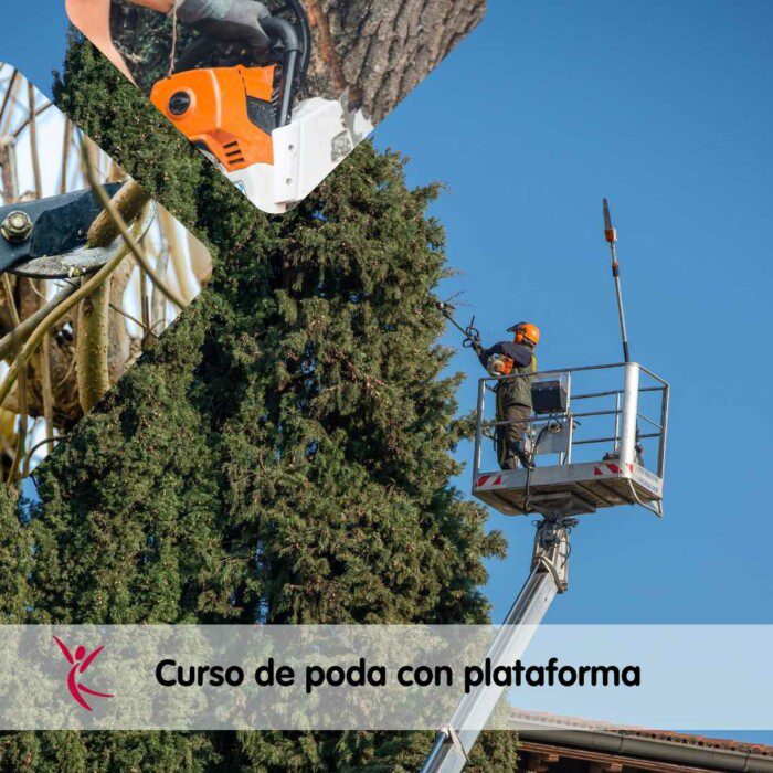 Curso de poda con plataforma