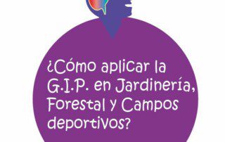 Asesor GIP