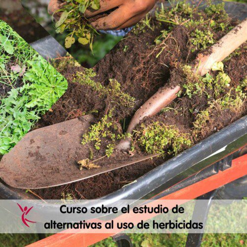 Curso sobre el estudio de alternativas al uso de herbicidas