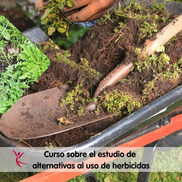 Curso sobre el estudio de alternativas al uso de herbicidas