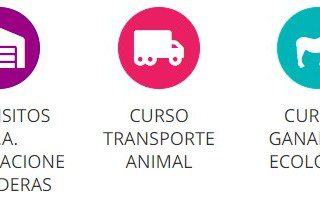 curso online ganaderia
