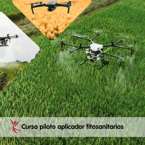 curso piloto aplicador fitosanitario