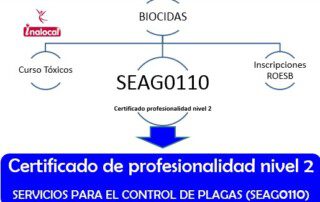 Certificados oficiales nivel 2