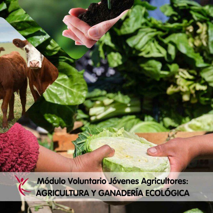 Módulo Voluntario Jóvenes Agricultores_ AGRICULTURA Y GANADERÍA ECOLÓGICA