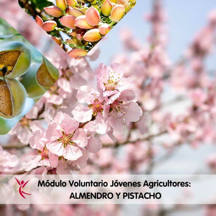 Módulo Voluntario Jóvenes Agricultores_ ALMENDRO Y PISTACHO