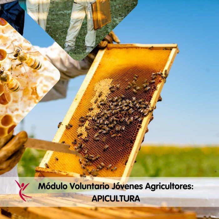 Módulo Voluntario Jóvenes Agricultores_ APICULTURA