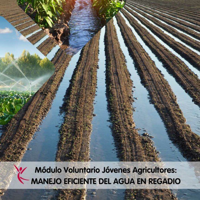 Módulo Voluntario Jóvenes Agricultores_ MANEJO EFICIENTE DEL AGUA EN REGADIO