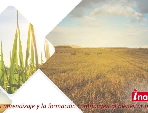Instalación de agricultores jóvenes y la modernización de las explotaciones agrarias en Cantabria