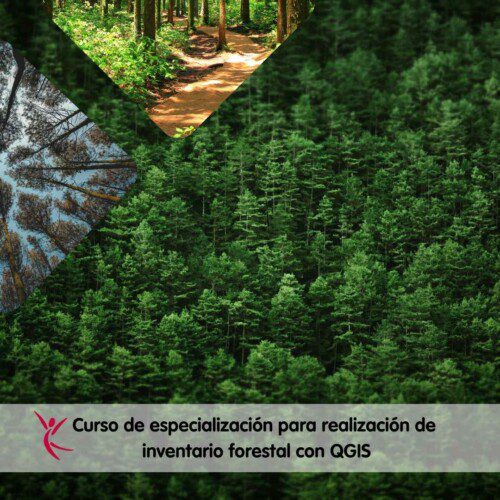 Curso de especialización para realización de inventario forestal con QGIS
