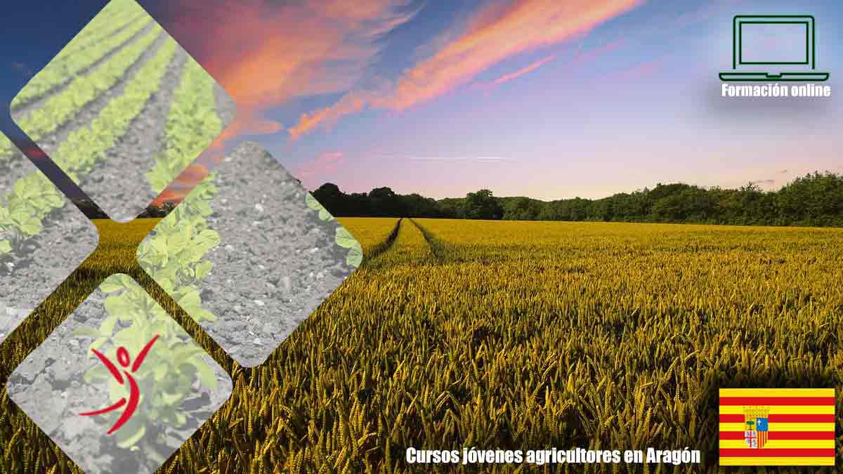 Cursos joven agricultor en Aragón