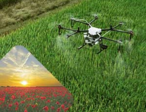 Curso piloto aplicador de fitosanitarios autorizado por el Ministerio de Agricultura