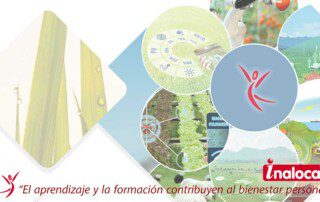 inspecciones iteaf en Castilla la Mancha 2022