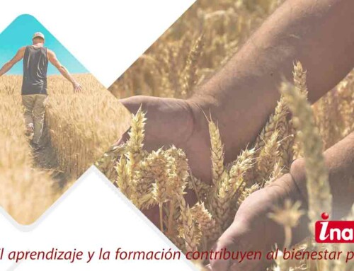 Nuevas ayudas de la Junta de Castilla y León en 2022 para los jóvenes agricultores