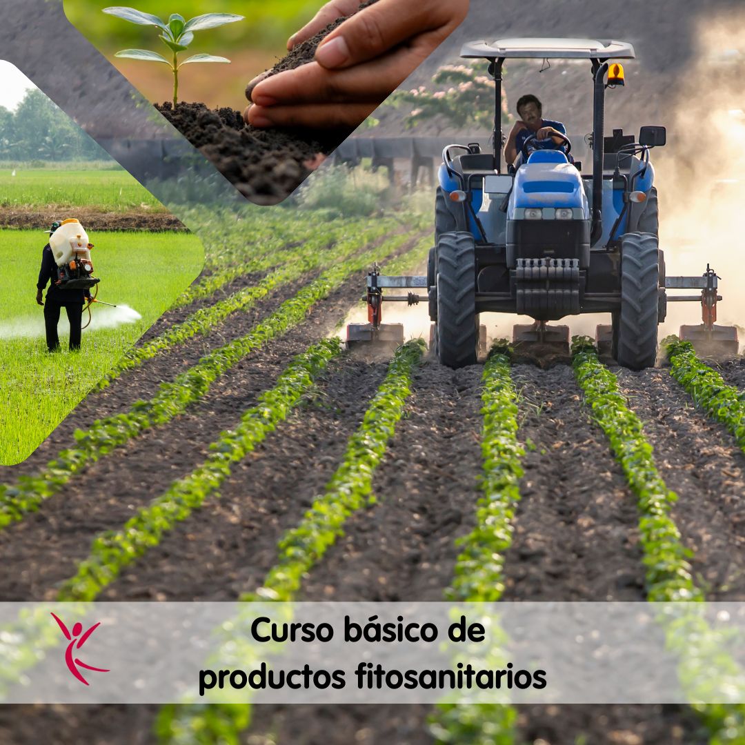Curso basico de productos fitosanitarios