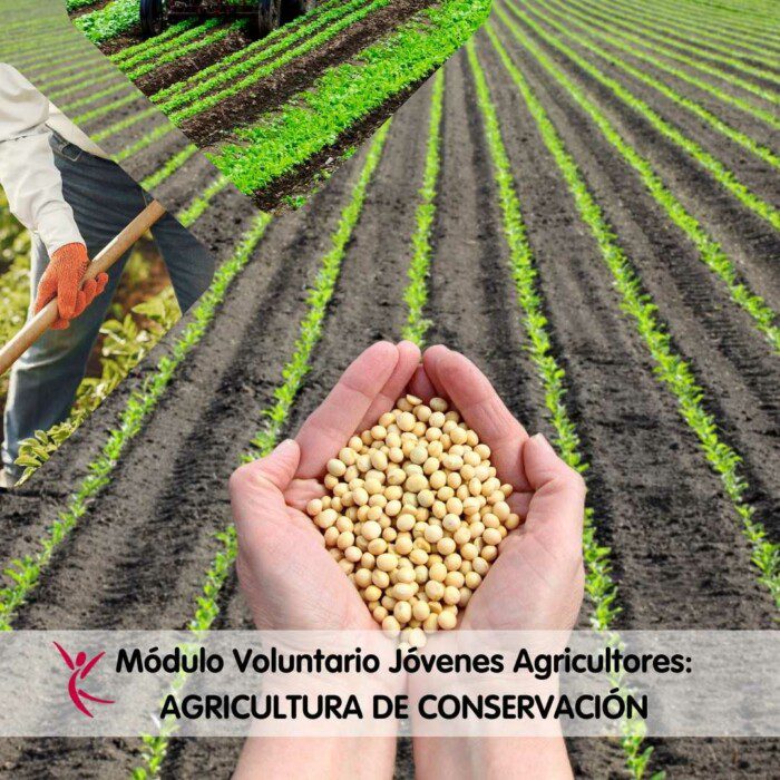 Módulo Voluntario Jóvenes Agricultores_ AGRICULTURA DE CONSERVACIÓN