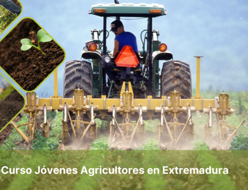 Incorporación de Jóvenes Agricultores en Extremadura
