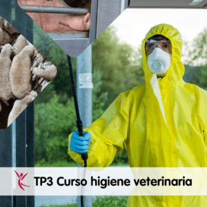 Curso biocidas TP3 Higiene veterinaria -118_EVENTO