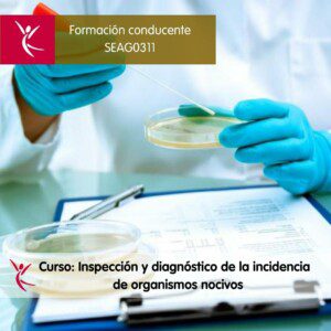 Curso inspección y diagnóstico de la incidencia de organismos nocivos