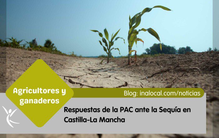 Respuestas de la PAC ante la Sequía en Castilla-La Mancha