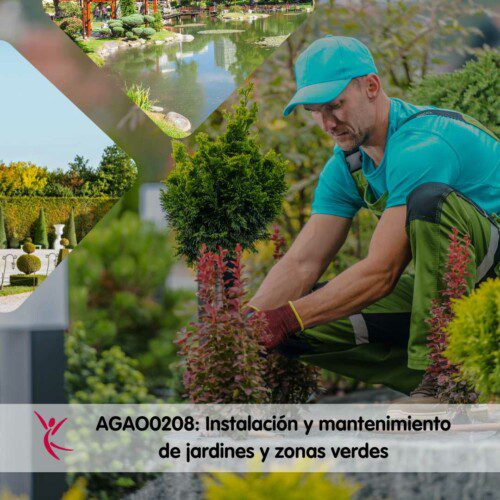 Certificado AGAO0208