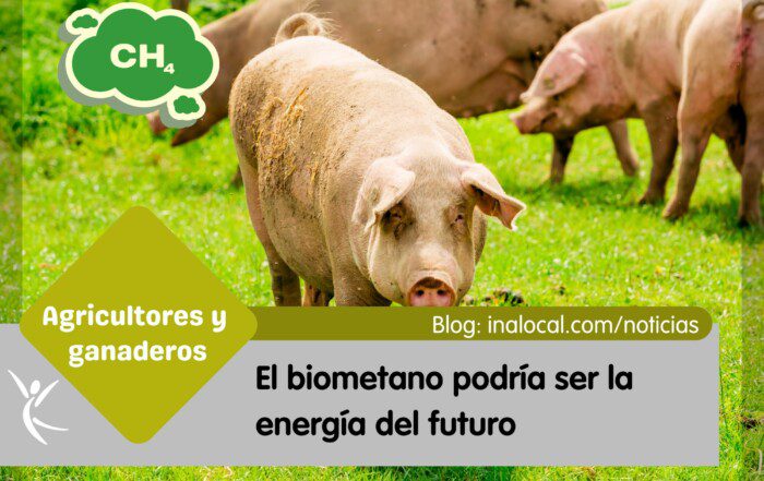 El biometano podría ser la energía del futuro