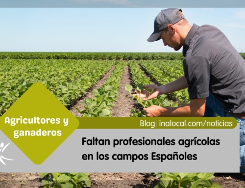 En el campo faltan profesionales