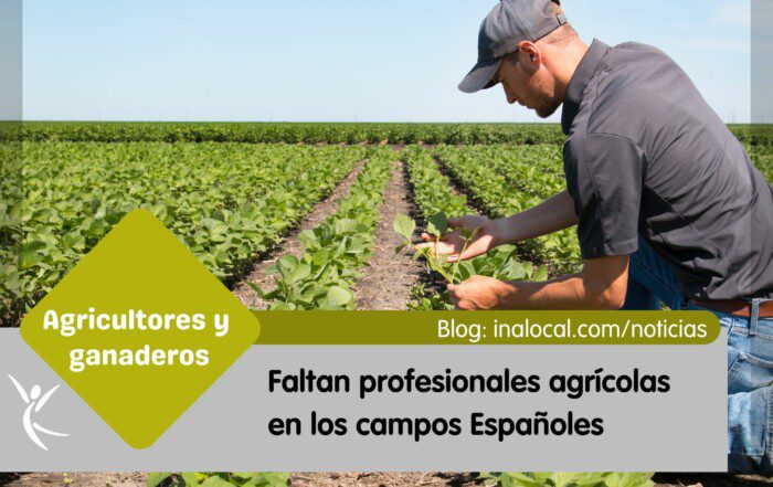 Faltan profesionales agrícolas en los campos Españoles