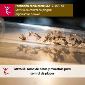 502 Curso conducente al MF2588