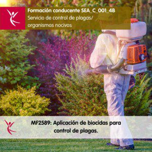 503 Curso conducente al MF2589