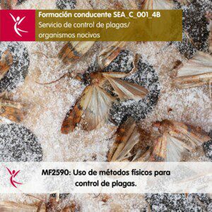 504 Curso conducente al MF2590