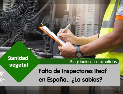 Falta de Inspectores ITEAF en España