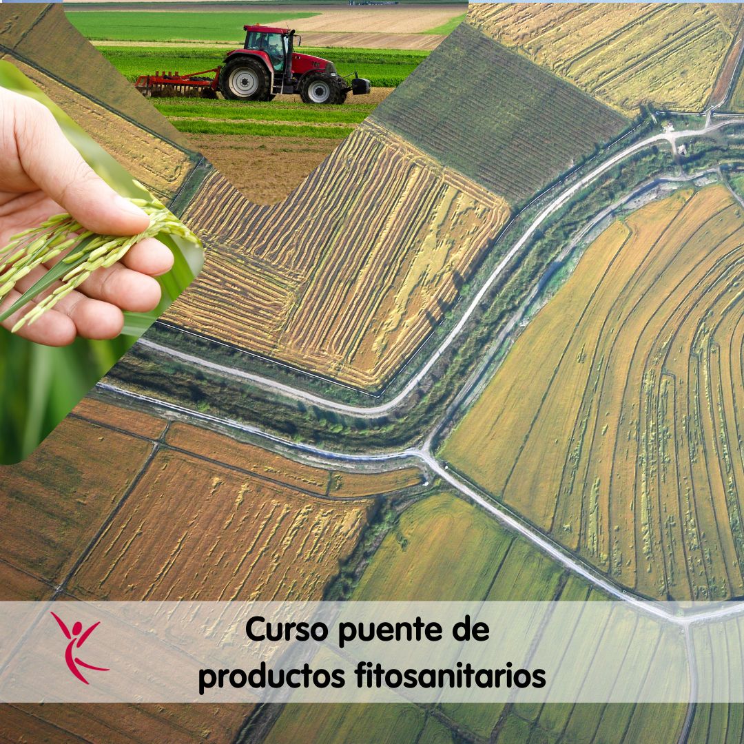 Curso puente de productos fitosanitarios