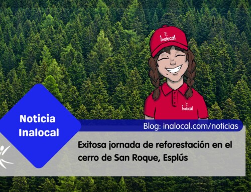 Exitosa jornada de reforestación en el cerro de San Roque, Esplús