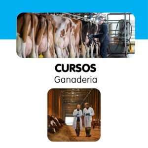 Cursos de ganadería para explotaciones en España..