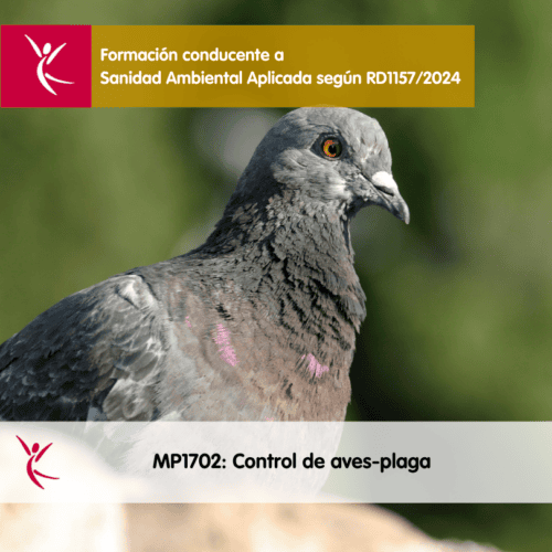MP1702-1_ Control de aves-plaga