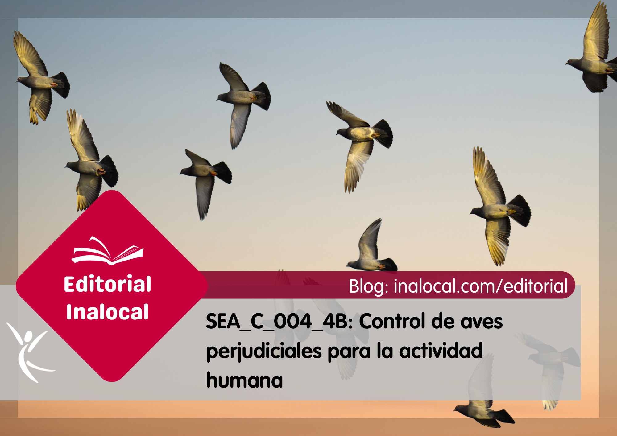 El certificado profesional SEA_C_004_4B: control de aves