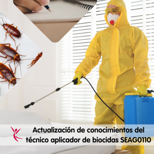CARRITO Actualización de conocimientos SEAG 0110