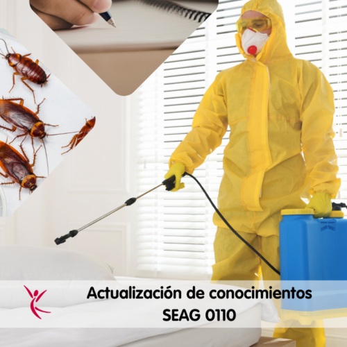CARRITO Actualización de conocimientos SEAG 0110