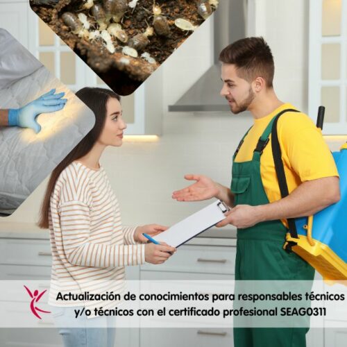 Actualización de conocimientos SEAG 0311