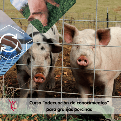355 Curso Adecuación de Conocimientos 10 h